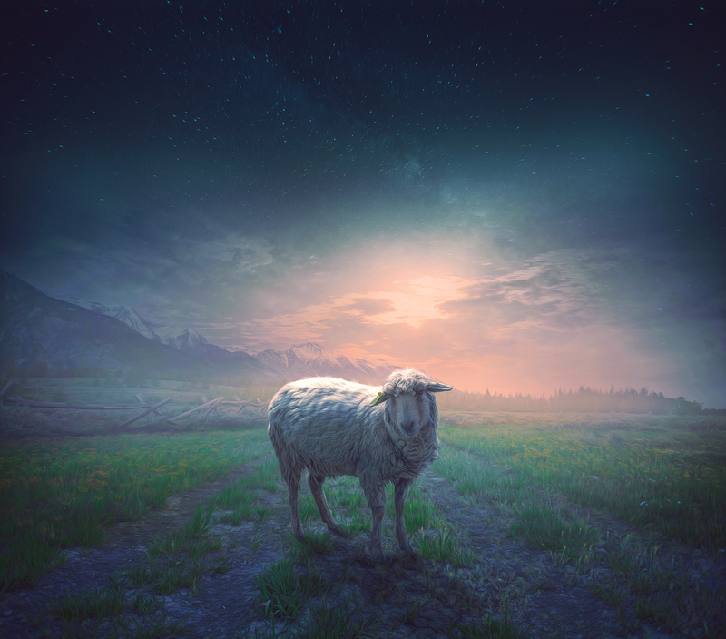 astray